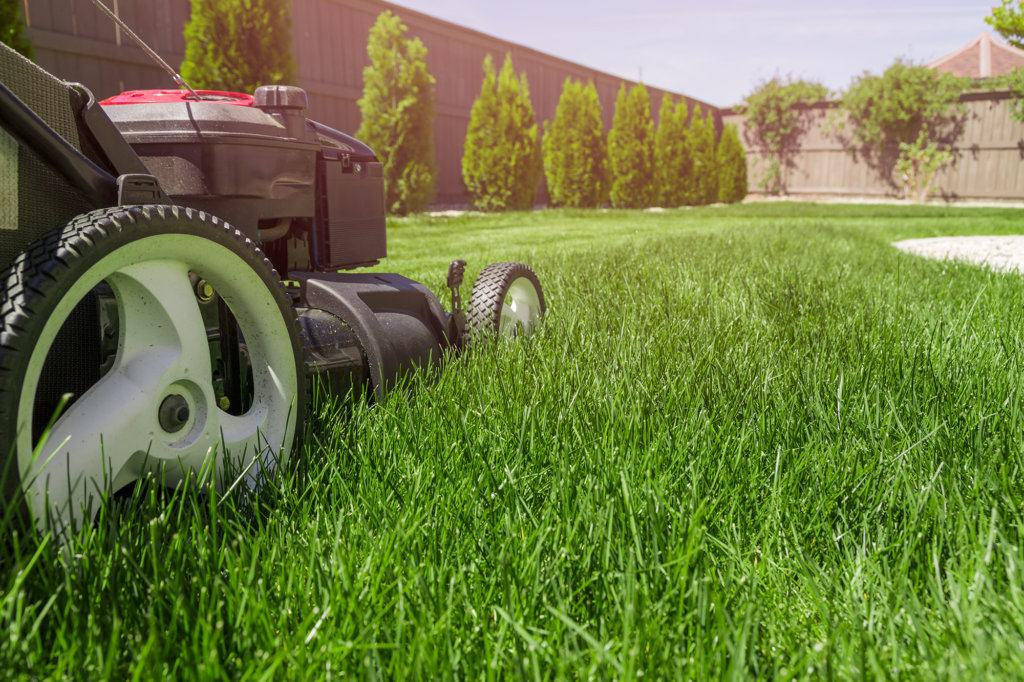 lawn maintenance and mowing services